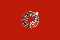 沈丘县回收红酒